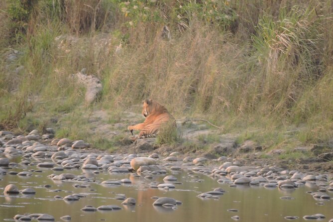 3 Nights 4 Days Bardia Tiger Tracking Tour | Bardia Jungle Safari - Accommodation and meals: included comfort that actually matters