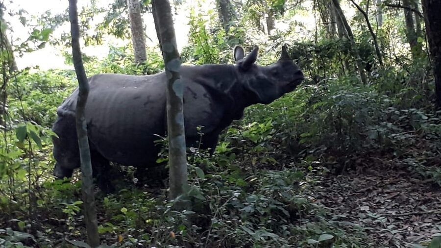 3 Nights 4 Days Chitwan National Park with Tower Night Stay - Transfers and timing: the bus ride is part of the story