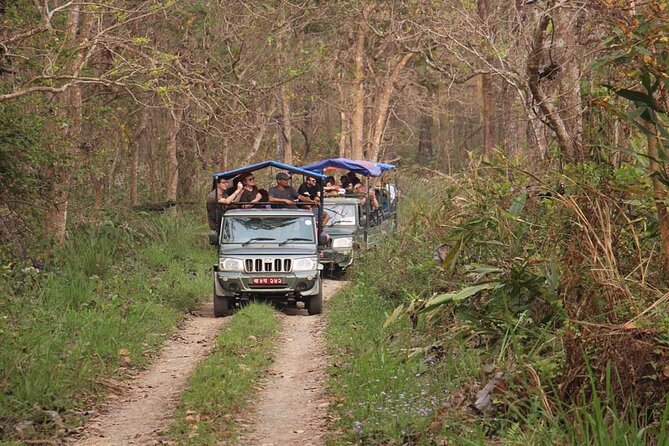 3 Nights 4 Days Chitwan National Park with Tower Night Stay - The wooden tower night stay: why it feels different from a hotel