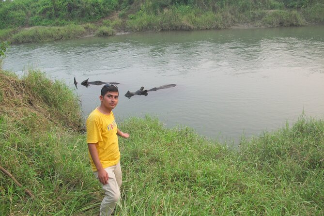 3 Nights 4 Days Chitwan National Park with Tower Night Stay - Tharu culture show and village time, so your brain gets a break
