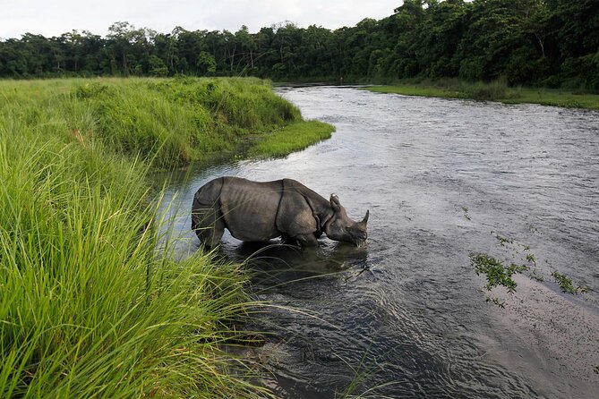 3 Nights 4 Days Chitwan National Park with Tower Night Stay - Days 2 and 3: building in rhythm, not just rushing to the next activity