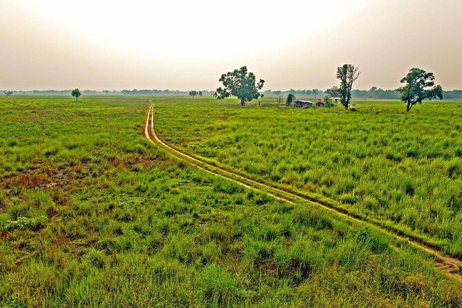 3 Nights 4 Days Chitwan National Park with Tower Night Stay - Day 1 in Chitwan: transfer from Kathmandu or Pokhara, then Rapti sunsets and Tharu dance