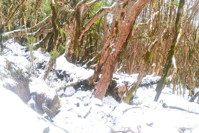 4 Day Mardi Himal Base Camp Trek from Pokhara - Why Mardi Himal Fits Four Days So Well
