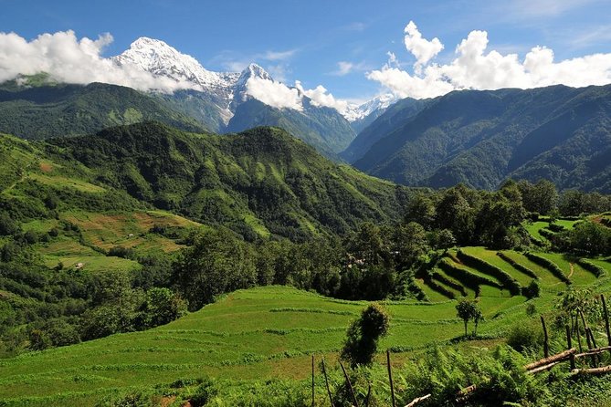4-day Poon Hill Trek - A licensed English-speaking guide does more than point uphill