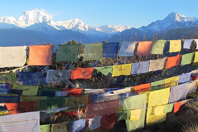 4-Day Private Poon Hill Trekking Tour - Day 1 from Pokhara to Ulleri: the uphill start with a taxi buffer