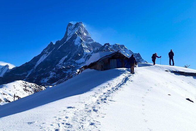 4 Days Mardi Himal Base Camp Trekking in Pokhara - Mardi Himal Base Camp, in plain terms