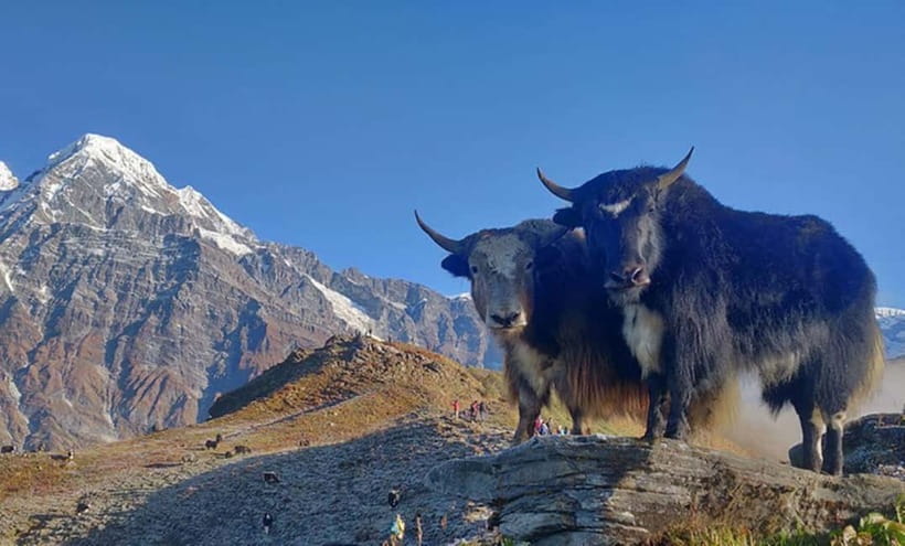 4 Days Pikey Peak Trek : The Best View of Mt Everest - Lodges, showers, and food you can actually manage