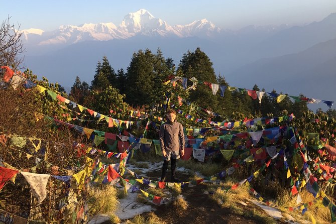 4 Days Poon Hill Trek from Pokhara - Day 2: Rhododendron forests to Ghorepani, with mountain views in the background