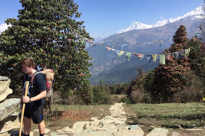 4 Days Poon Hill Trek from Pokhara - Day 3: Poon Hill at dawn, then down to Tadapani