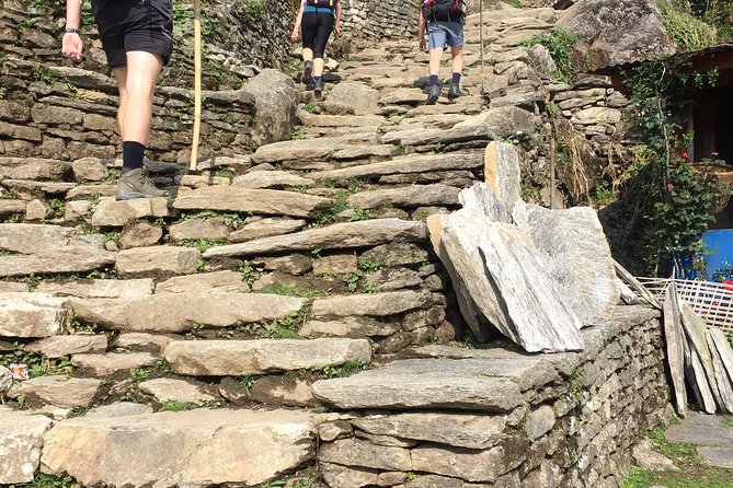 4 Days Poon Hill Trek from Pokhara - Day 1: Ulleri, from Nayapul to village trails