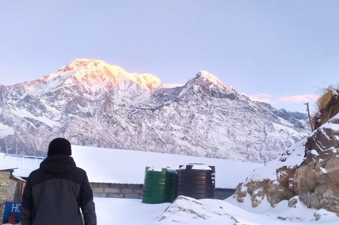 5 Day Mardi Himal Base Camp Trek in Pokhara - Should you book this 5-day Mardi Himal Base Camp trek?
