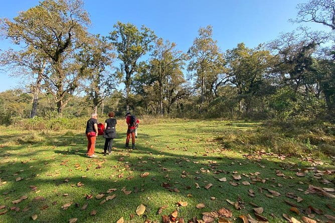 5 Day Private Guided Trekking in Annapurna Base Camp - Day 3 to Annapurna Base Camp: rhododendron forest and the ABC arrival
