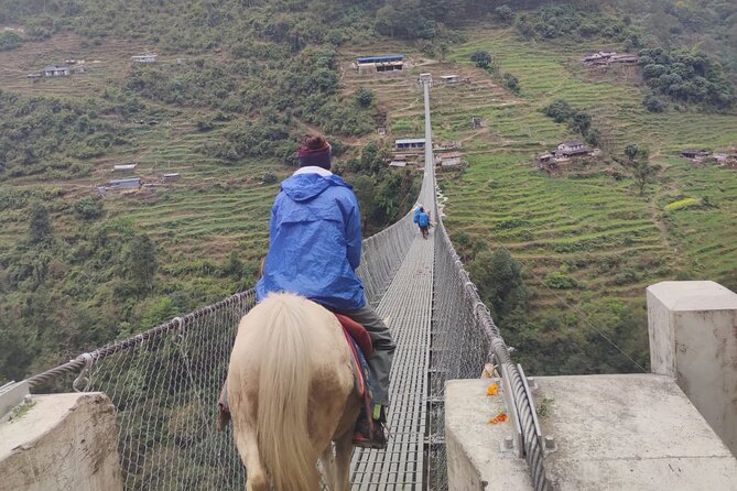 6 days Annapurna Basecamp Trek - Day 3: Rhododendron Valley to Machhapuchchhre Area Vistas