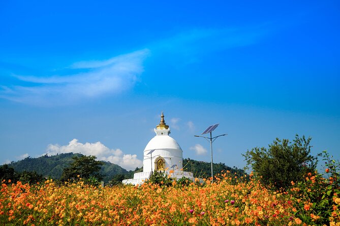 6 Days Private Himalayan Dreams of Nepal - Day 6 departure: airport transfer done the easy way