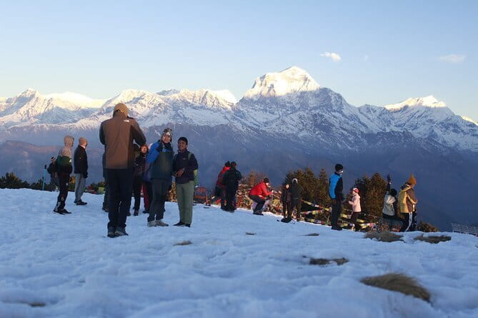 7-Day Trek to Annapurna Base Camp from Pokhara - Day 5 Bamboo: descending is your workout, too
