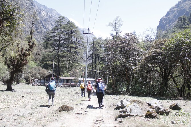 7 Days Langtang Valley Trek from Kathmandu - Day 6 Trek Down to Syabrubensi, Then a Real Meal Break
