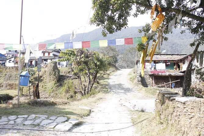 7 Days Langtang Valley Trek from Kathmandu - Day 7 Back to Kathmandu and the Thamel Reset