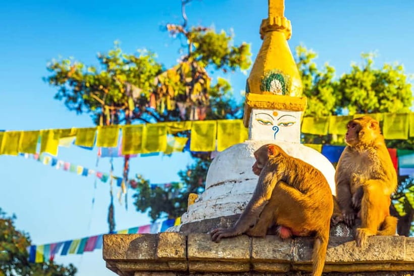 7-Heritage of Kathmandu: At your comfort 1-Day Tour - Lunch Break: Plan for a Long Day Energy Reset