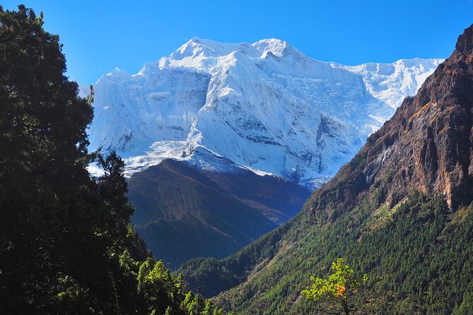 8 Days Private Guided Trekking in Annapurna Circuit with Pickup - Itinerary timing, altitude rhythm, and why this route works
