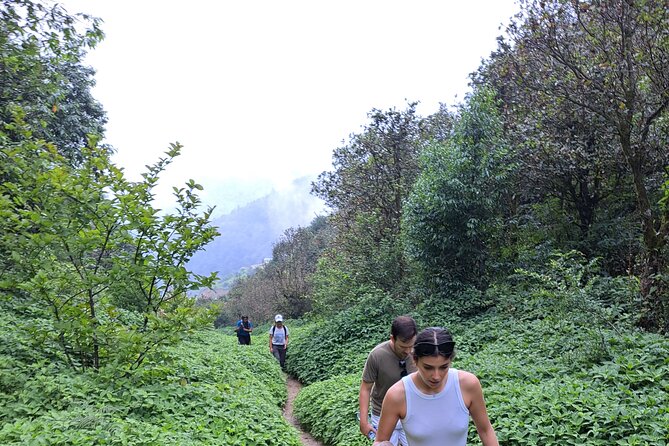 Amazing 1 Day Trekking Experience in Kathmandu Nepal - The stair-heavy reality: fitness level and shoe choice matter