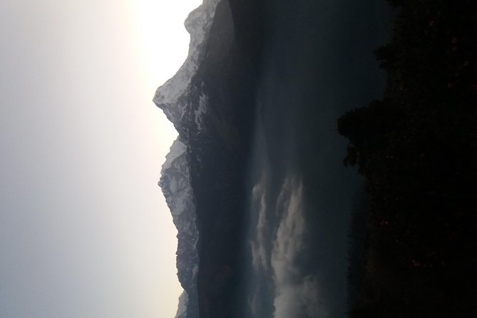 Annapurna: 2 Days Poon Hill Trek from Pokhara - Price and logistics: does $230 feel fair for this 2-day plan?