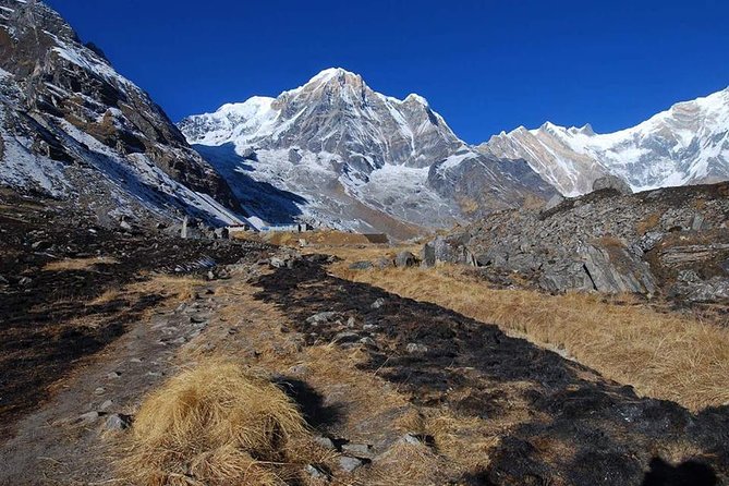 Annapurna Base Camp, Nepal 10 days - Day 7: Retracing to Bamboo, Long Downhill That Still Feels Like Work