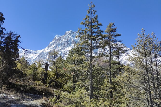 Annapurna Base Camp Trek - 10 Days - Key things to know before you go