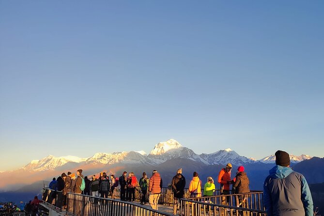 Annapurna Base Camp Trek 12 Days - Day 5: Poon Hill sunrise, a short hike, and a peak count you can actually picture