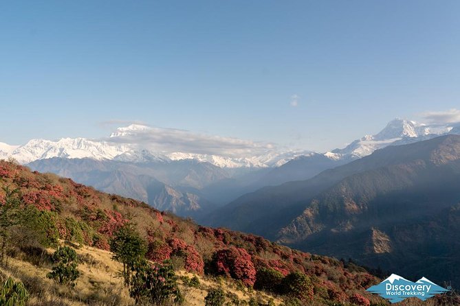 Annapurna Circuit Trek with Tilicho Lake - Price and Logistics: What $1,093 Actually Covers