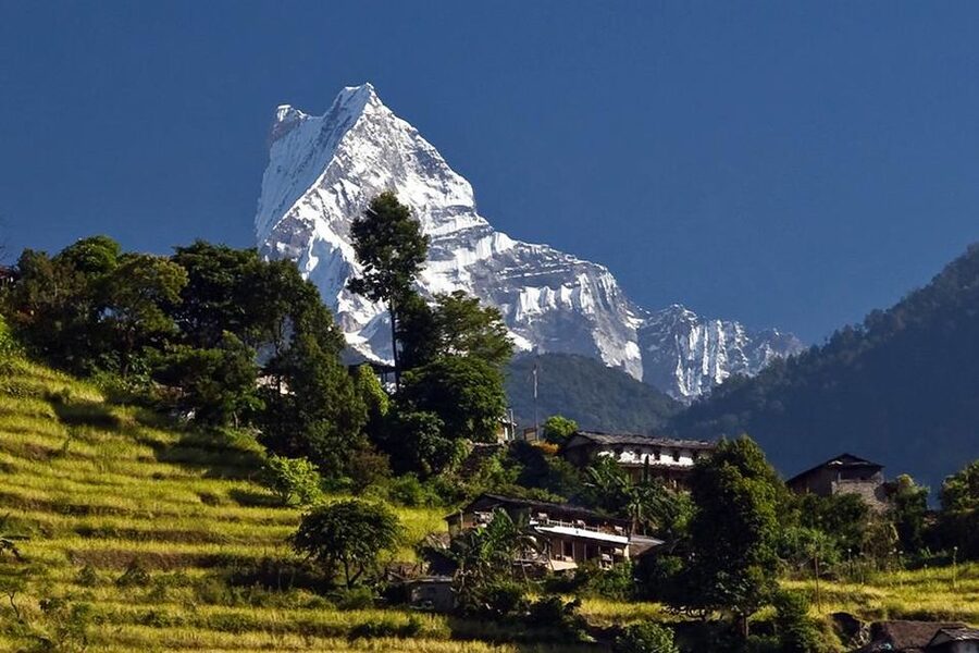 Australian Base Camp Day Hike From Pokhara - Kande to the climb: forests, steps, and small village rhythm