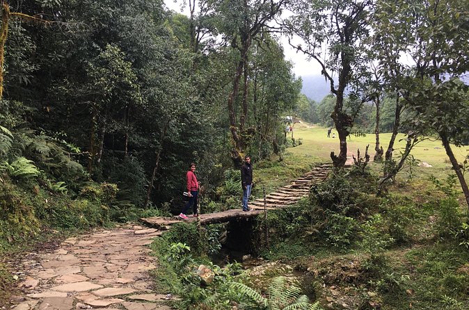 Australian Camp and Dhampus easy hiking - Price and value: $51.42 for guide, transfers, and free tickets