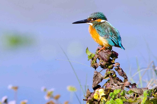 Best of Nepal Luxury Adventure Tour Package - 9 Days - Key Highlights at a Glance