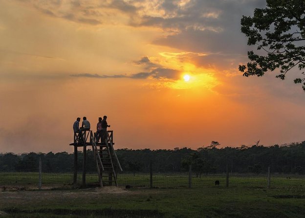 Canoeing and Nature Walk in Chitwan National Park - Key things to know before you go