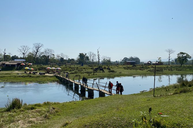Canoeing and Nature Walk in Chitwan National Park - Price and value: what you get for about $61.54