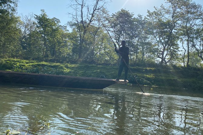 Canoeing and Nature Walk in Chitwan National Park - Wildlife odds in Chitwan, from the famous names to the everyday sightings