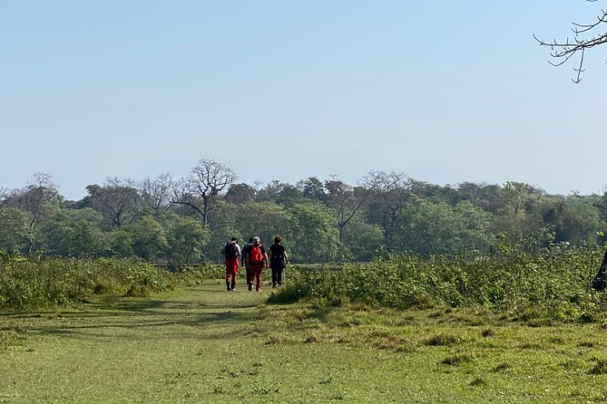 Canoeing and Nature Walk in Chitwan National Park - Rapti River canoe ride: what 54 minutes on the water really means