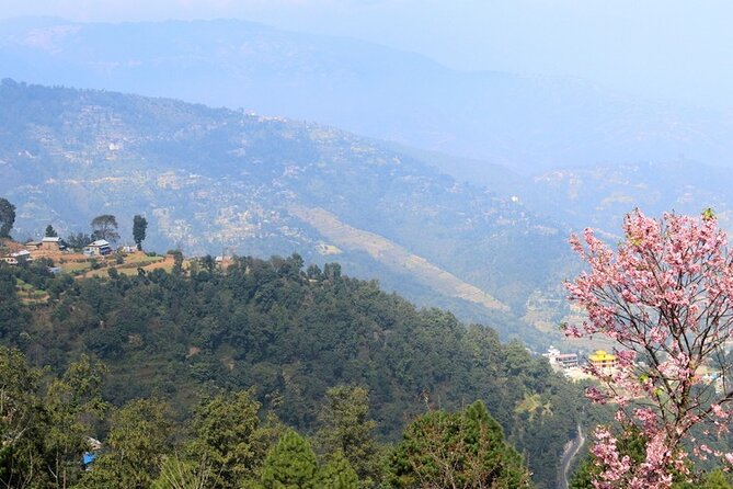 Changunarayan Hill to Telkot Hike Near Kathmandu Day Tour - Price and What You Actually Get for $95