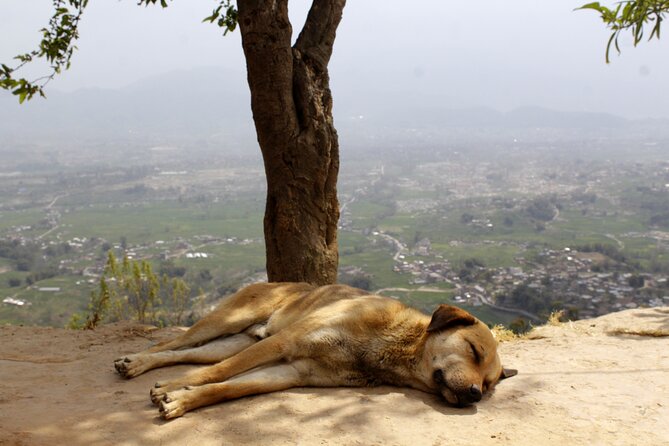 Changunarayan Hill to Telkot Hike Near Kathmandu Day Tour - Changunarayan Temple Stop: Carved Stones and Hilltop Village Life