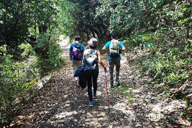 Chisapani - Nagarkot Trek Nepal - 3 Days - Day 3: The ridge walk down to Changu Narayan Temple