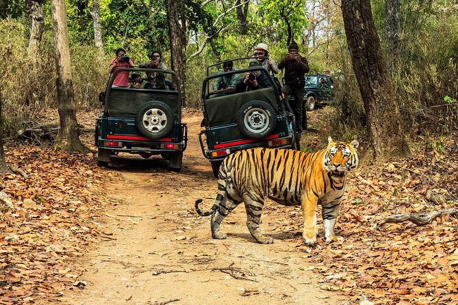 Chitwan Jungle Safari 3-Day Tour - Early pickup, small groups, and how you get to Chitwan