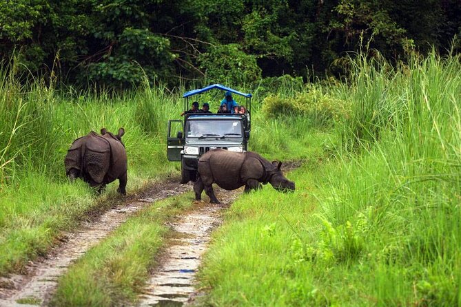 Chitwan Jungle Safari 3-Day Tour - Price value at $38, and how far ahead to book