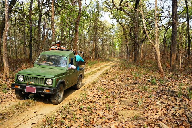 Chitwan Jungle Safari 3-Day Tour - Day 2 later: the jeep safari inside Chitwan National Park