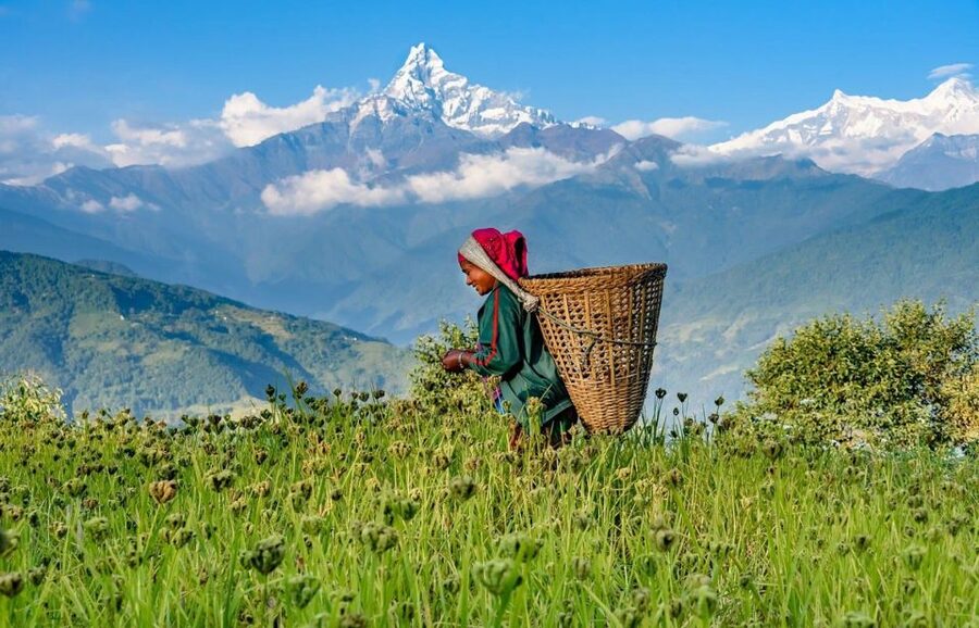Day Hike at Annapurna Foothills - From Pokhara Lakeside to Kande, with mountain light on your side