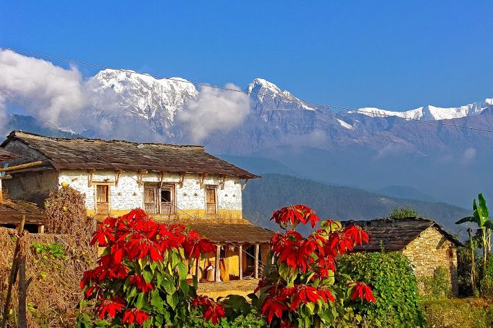 Day Hike at Annapurna Foothills - Dhampus to Phedi, forests and terraced farmlands to finish strong