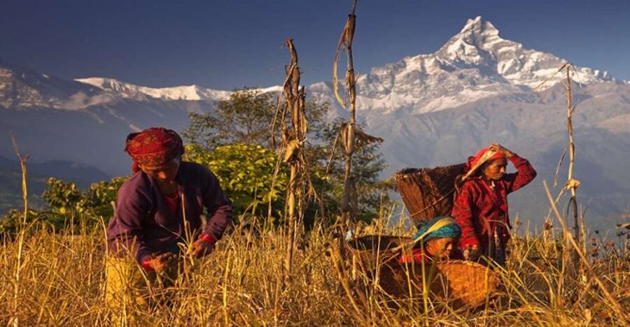 Day Hike at Annapurna Foothills - Should you book this one-day Annapurna foothills hike?