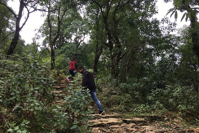 Day hiking to Dhampus - Astam Village - From Lakeside to Phedi: How the Route Sets Up Your Hike