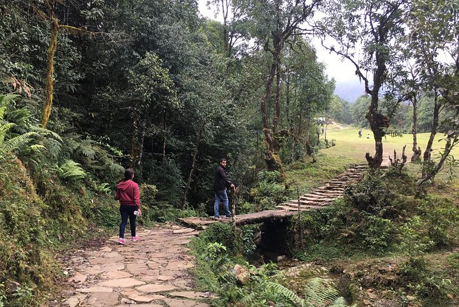 Day hiking to Dhampus - Astam Village - Astam and the Homestay Village: Close Annapurna Views Before You Head Down
