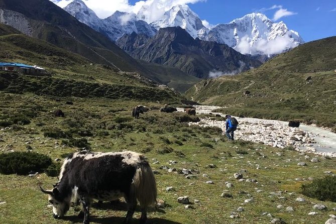 Everest Base Camp Helicopter Tour landing at Everest View Hotel. - Weight Limit and Who This Tour Fits Best