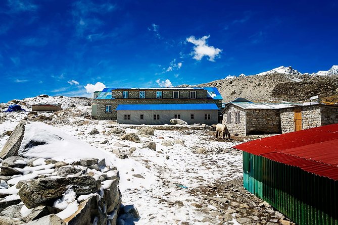 Everest Base Camp Trek with Helicopter Return - 10 Days - Day 4 Everest View Hotel: The Acclimatization Day That Pays You Back
