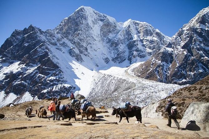 Everest Base Camp Trek with Helicopter Return to Lukla - 10 Days - Key things you’ll notice on this Everest Base Camp trek